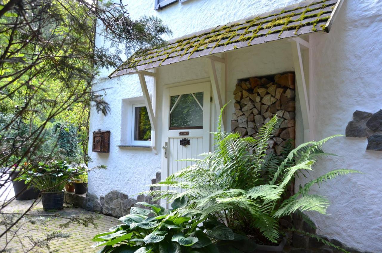 וילינגן Birgits Landhaus Willingen מראה חיצוני תמונה