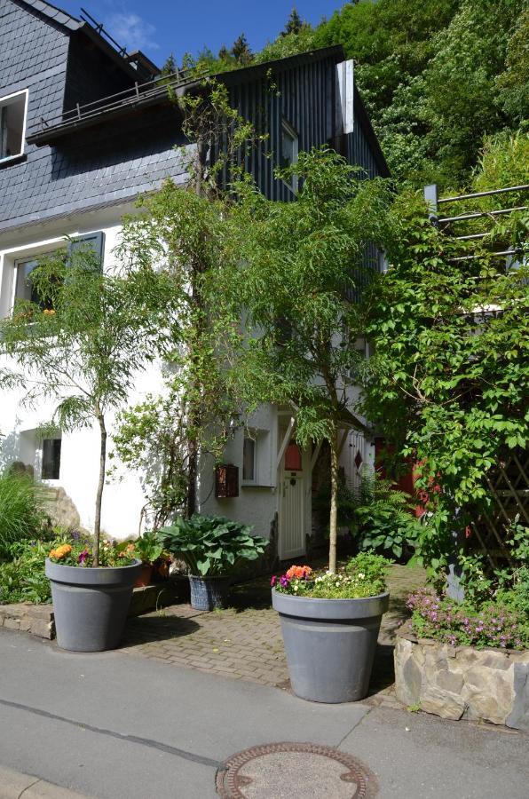 וילינגן Birgits Landhaus Willingen מראה חיצוני תמונה
