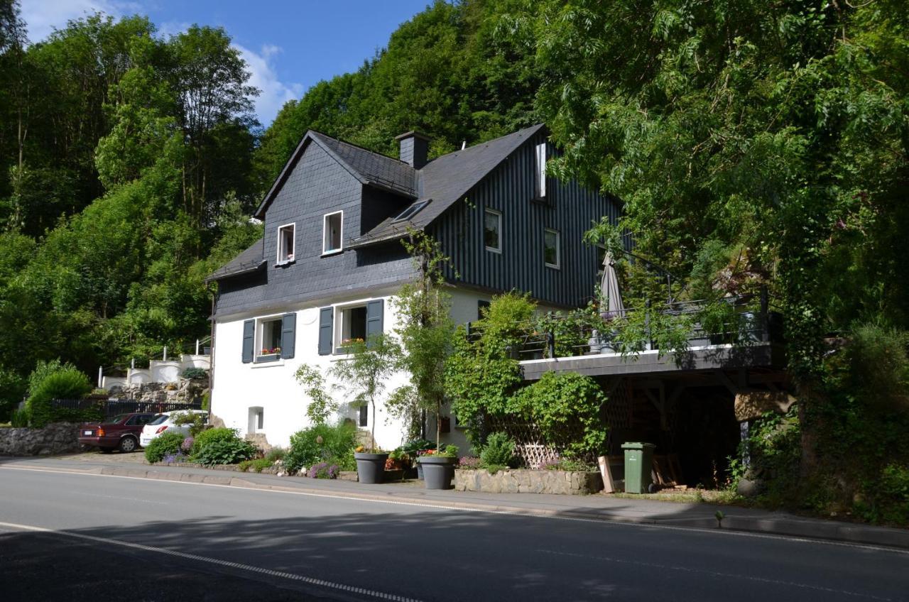 וילינגן Birgits Landhaus Willingen מראה חיצוני תמונה
